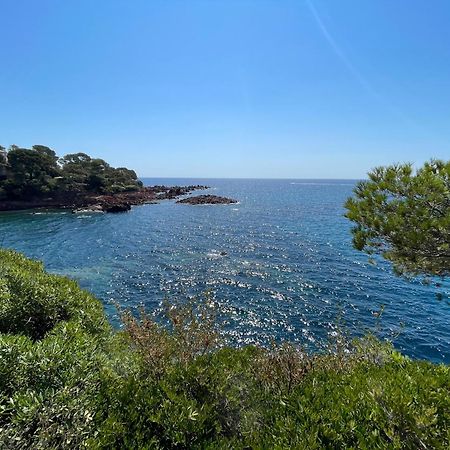 Yacht Studio Galarne Saint-Raphael  Luaran gambar